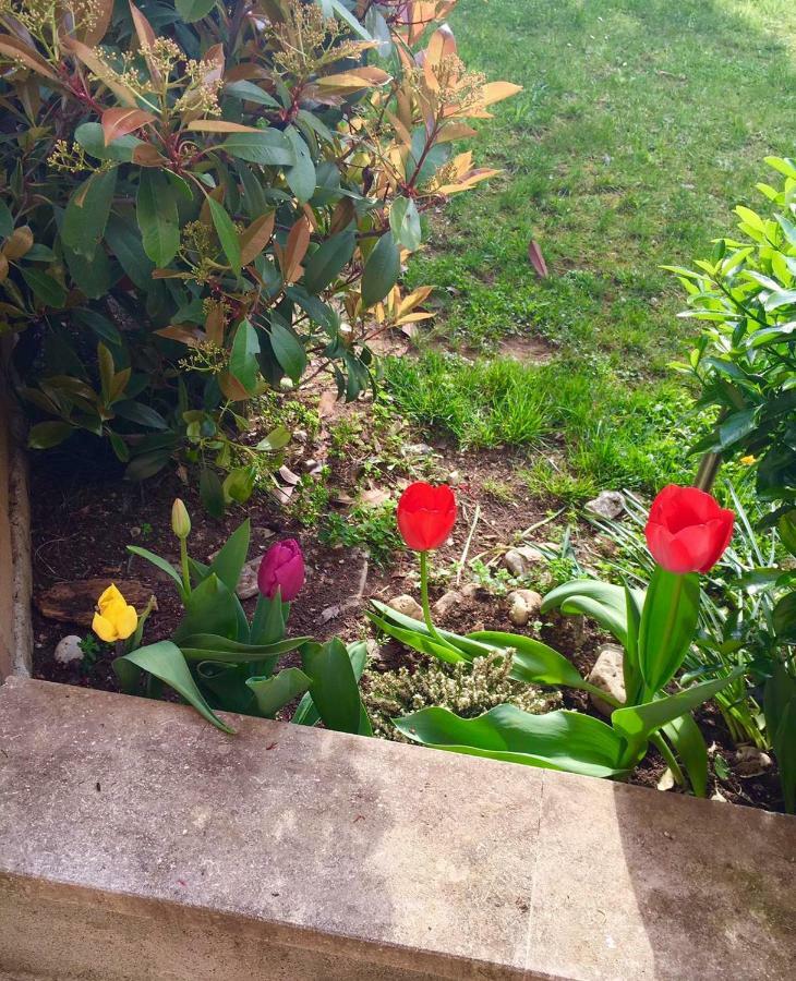דירות ויצ'נצה Papere E Tulipani מראה חיצוני תמונה